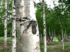 -长春市南湖公园