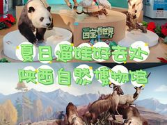 -陕西自然博物馆