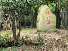 -潜山国家森林公园