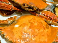 -东来菜馆•手抓海鲜家常菜•海鲜锅贴(鸽子窝店)