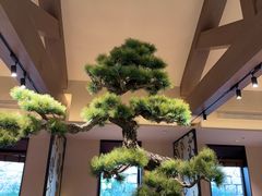 -单家老院·院子里的青岛菜(沙子口店)