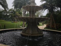 -美联英语(乐从天佑城中心)