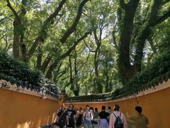 -普陀山风景名胜区-法雨禅寺