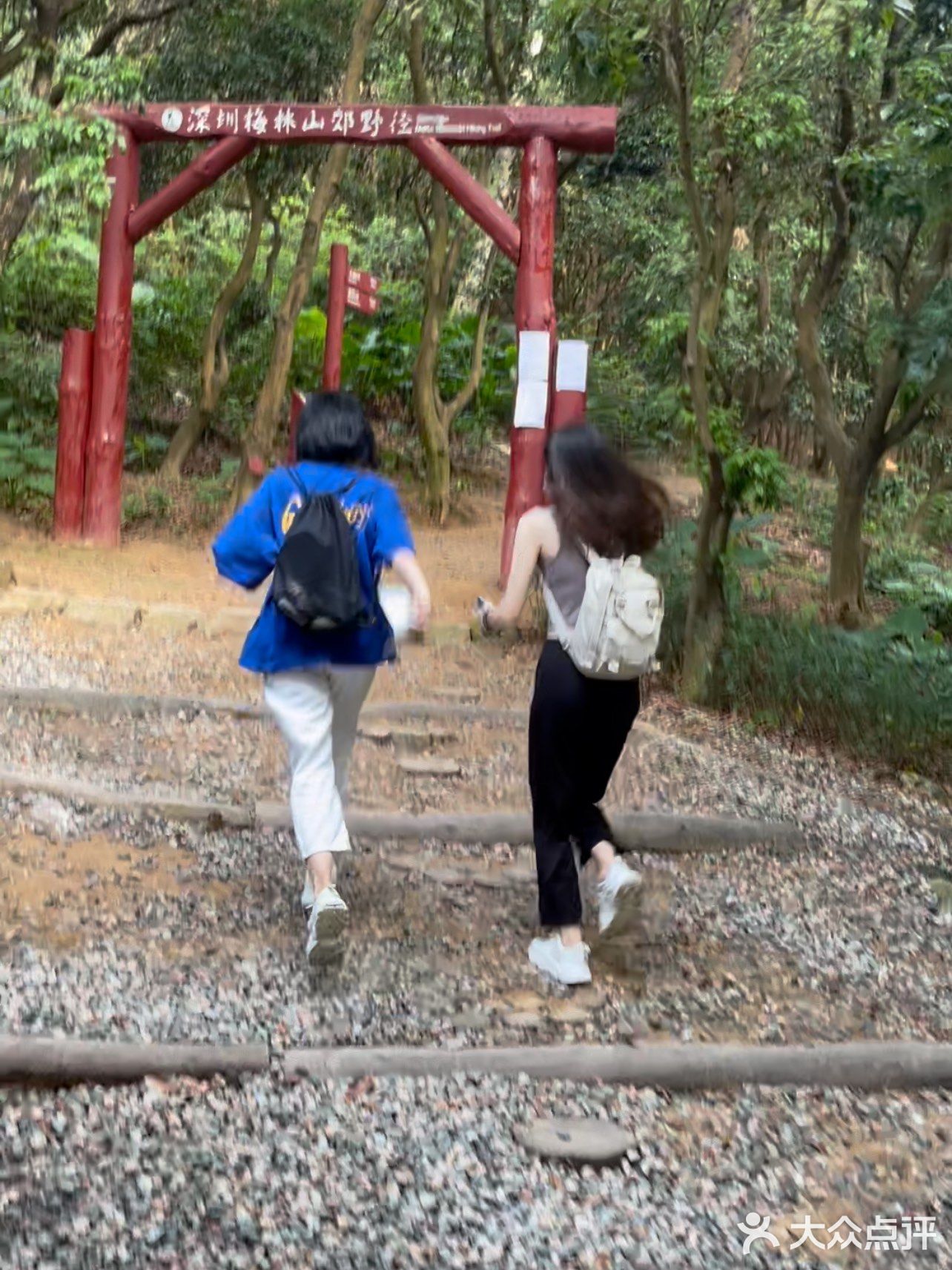 梅林山郊野径｜无楼梯爬山
