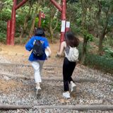 梅林山郊野径｜无楼梯爬山