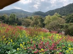 -广州市石门国家森林公园