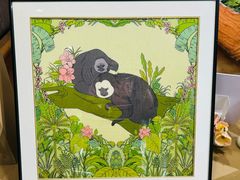 -红山国家森林公园