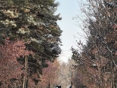 -长春市南湖公园