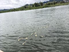 -泸沽湖国家级风景名胜区走婚桥