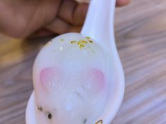 -探窝·竹笙椰子鸡(杨箕店)