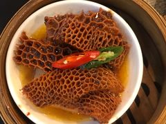 -添运来(茶园奥园广场店)