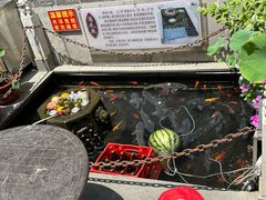 -燕喜堂·中华老字号(大明湖店)