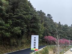 -广州市石门国家森林公园