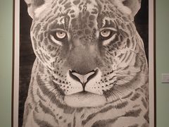 -江苏省美术馆(长江路新馆)