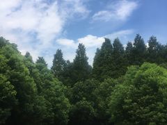 -同里国家湿地公园