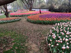 -无锡梅园公园
