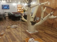 -袖虎·猫馆(体育西路店)