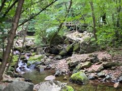 -本溪汤沟绿石谷森林公园