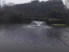 -重庆彩云湖湿地公园
