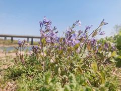 -永定河休闲森林公园