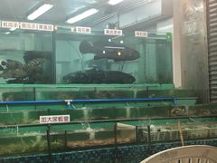 -广东名门