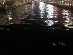 -道顿堀水上观光船(太左衛門橋船着場)