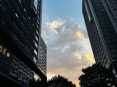 -重庆市江北嘴中央商务区中央公园