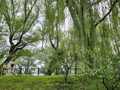 -皇家御河游(紫御湾码头)
