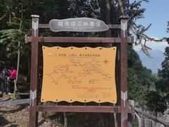 -梭布垭石林景区