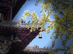 -凤城河风景区