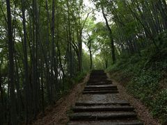-西湖风景区十里琅珰-五云山