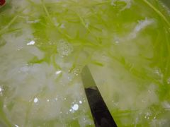 -北李妈妈菜·海肠捞饭(高新万达店)