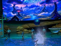 -海合安武汉极地海洋公园