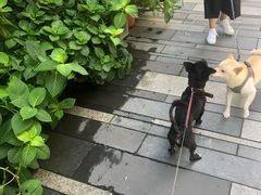 -OT另茶(上海幸福里店)