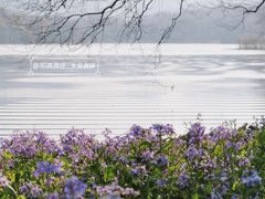 -茅家埠