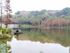 -重庆彩云湖湿地公园