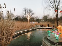 -春风习习