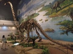 -自贡恐龙博物馆