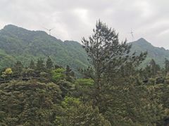 -梦幻奥陶纪景区