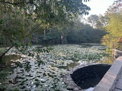 -竹泉村旅游度假区