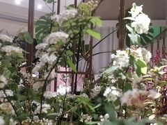 -发现花馆西餐厅FA Restaurant