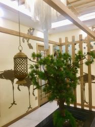 -芳朵美容养生SPA