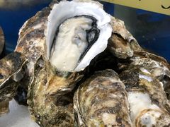 -蚝得喜海鲜(东城店)