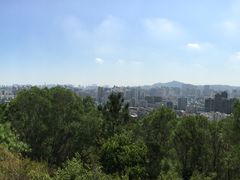 -仙岳公园