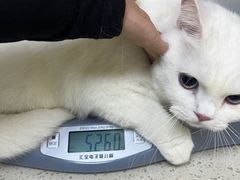 -芭比堂动物医院广州顽皮分院