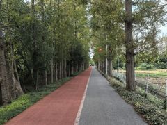 -上海长兴岛郊野公园