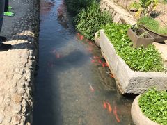 -前童古镇