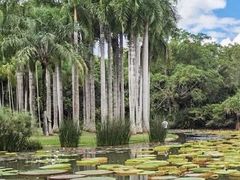 -中国科学院西双版纳热带植物园