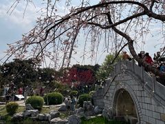 -玄武湖景区-情侣园游乐场