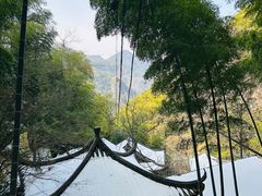 -藏龙百瀑风景区